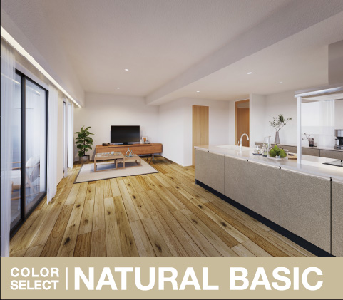 NATURAL BASIC